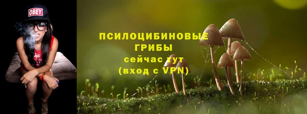 тгк Гусиноозёрск