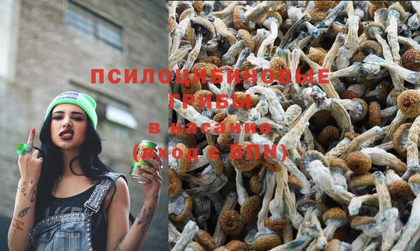 МДПВ Гусев