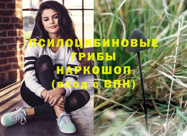 тгк Гусиноозёрск