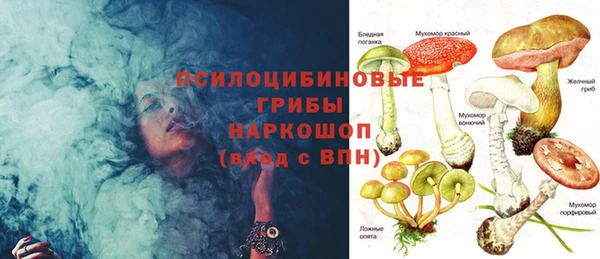 МДПВ Гусев